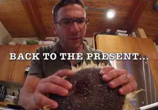 Man's Amazement at Harvesting His Own Sunflower Seeds