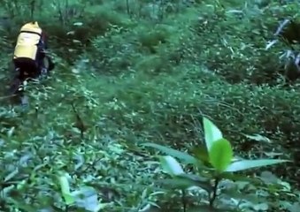 인터넷스포츠토토 온라인스포츠토토  DKRT2쩜 C0M ΨΨ NBA분석