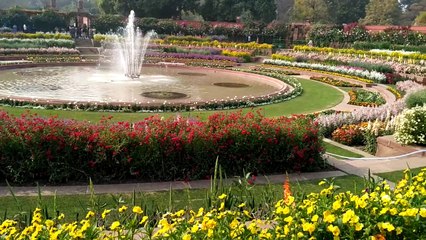 Beauty of Mughal garden part 1 (president house of India)