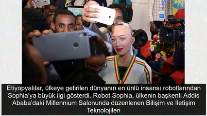 Sophia oraya gitti parçalanmaktan zor kurtuldu