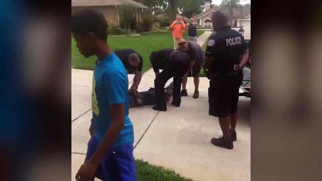 Un trappeur est KO après un violent coup de gueule d'un alligator