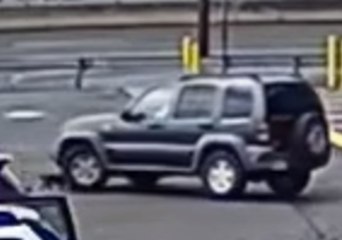 Man Charged After Allegedly Running Over Puppy in New Jersey Parking Lot