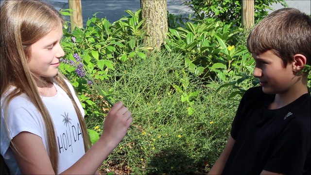 Atelier prise de vue réelle-3 - Les Studios 28 - 08/06/2018