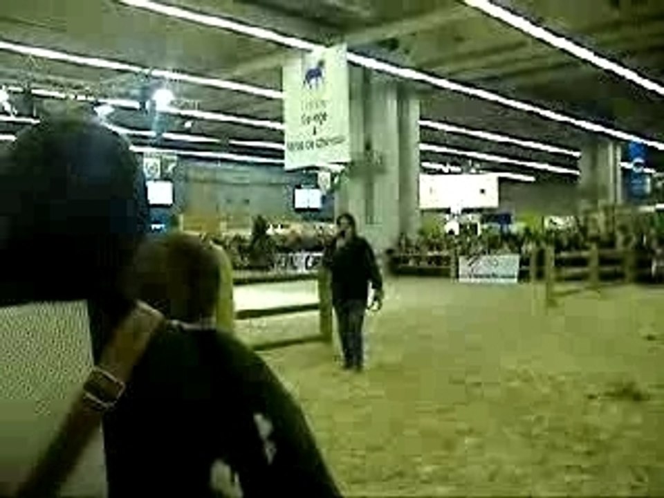 DSCF1946