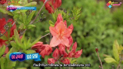 [Tamfeels Thaisub] Ready Player with HIGHLIGHT Ep.2