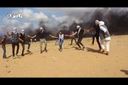 ‘İşgale karşı 'dabke' dansı’: Gazze Şeridi’nde Filistinlilerden kültürel direniş