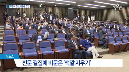 친문 핵심 ‘부엉이’ 결집에…비문은 ‘색깔 지우기’