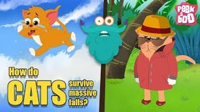 How Do Cats Survive Massive Falls? - The Dr. Binocs Show | Learning Videos For Kids | Peekaboo Kidz