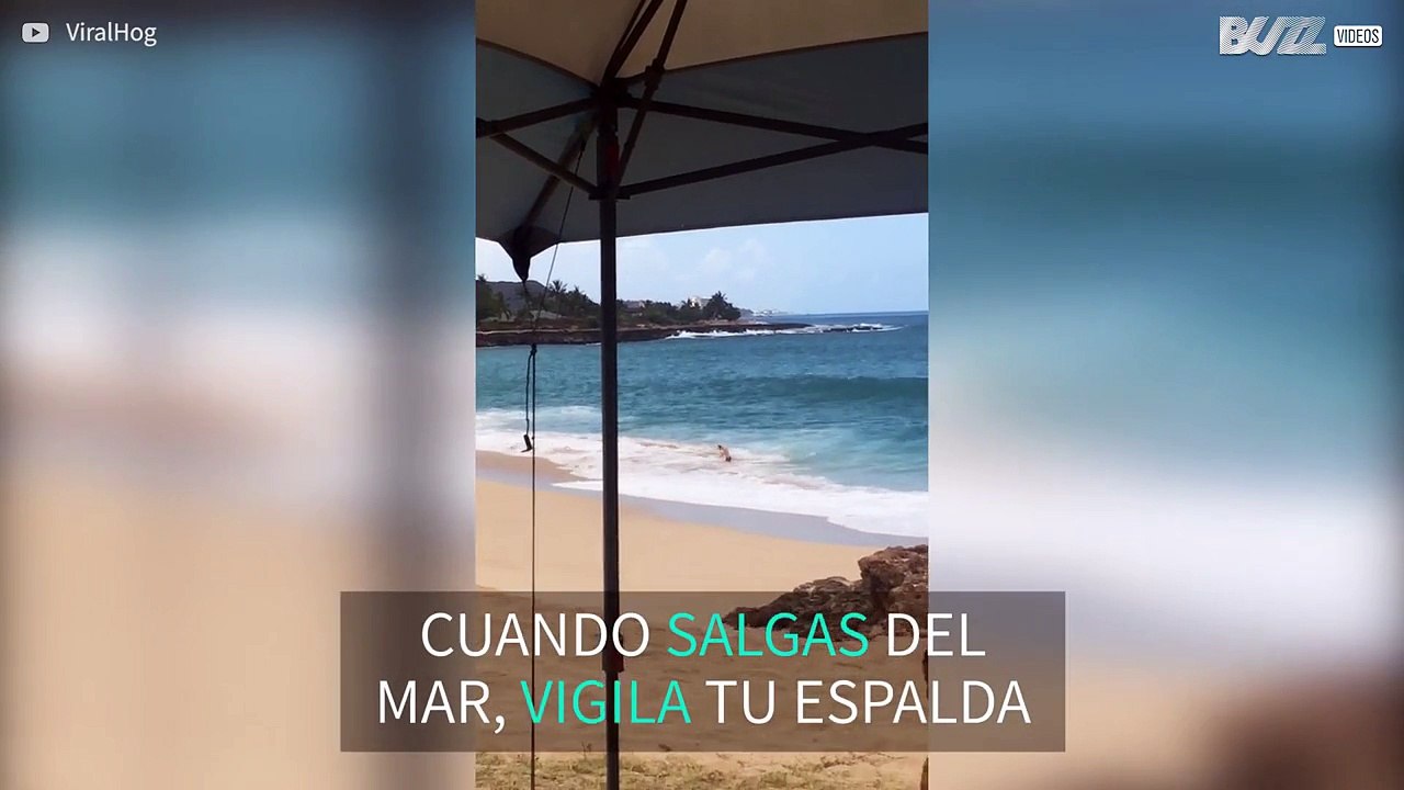 ¡Cuidado con las olas traicioneras!