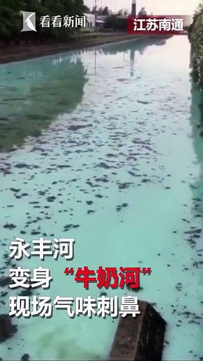 南通一河流变牛奶河气味刺鼻 偷排企业经营12年