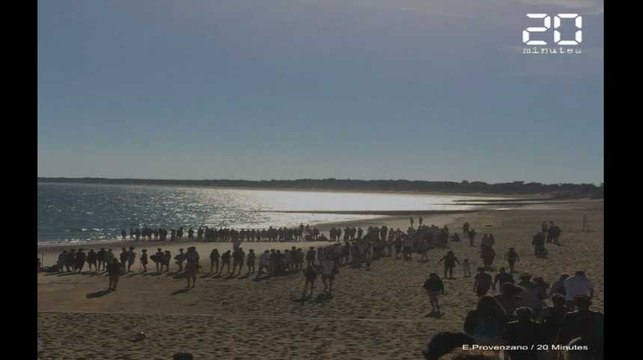 Le retour à la mer de 6 tortues sur l'île de Ré