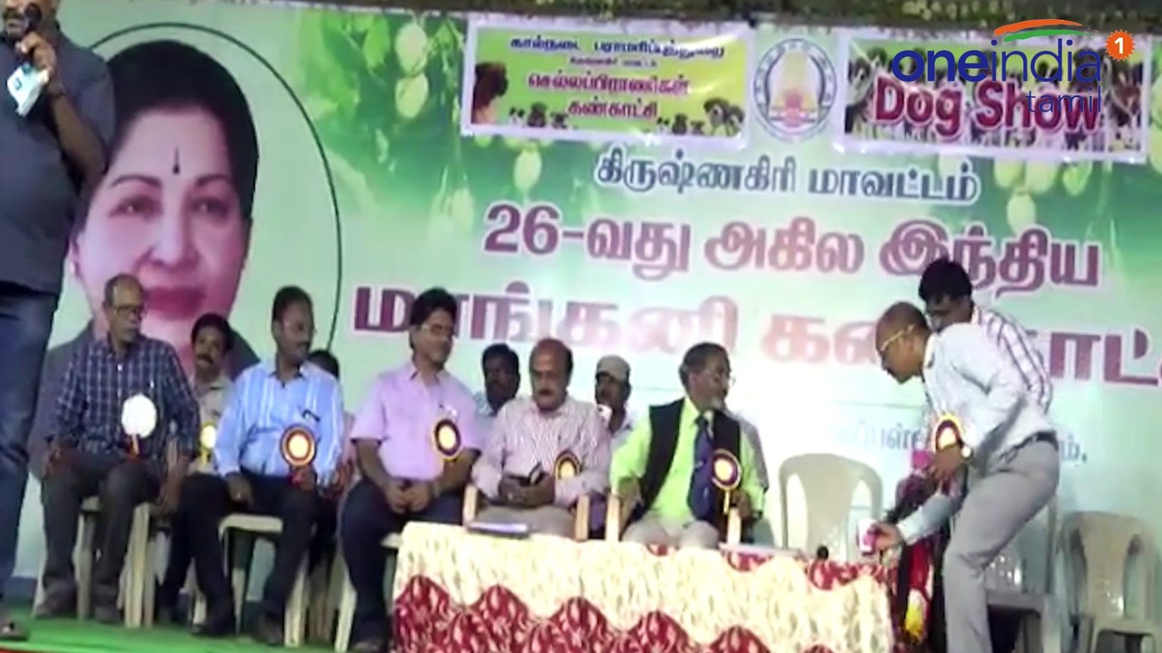 கிருஷ்ணகிரியில் பார்வையாளர்களை ஈர்த்த நாய்கள் கண்காட்சி-வீடியோ