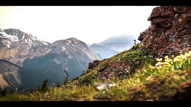 A vision of beauty... Relaxing Ambience Piano Composition by Pianist Patrick Stafford (Video 4k)