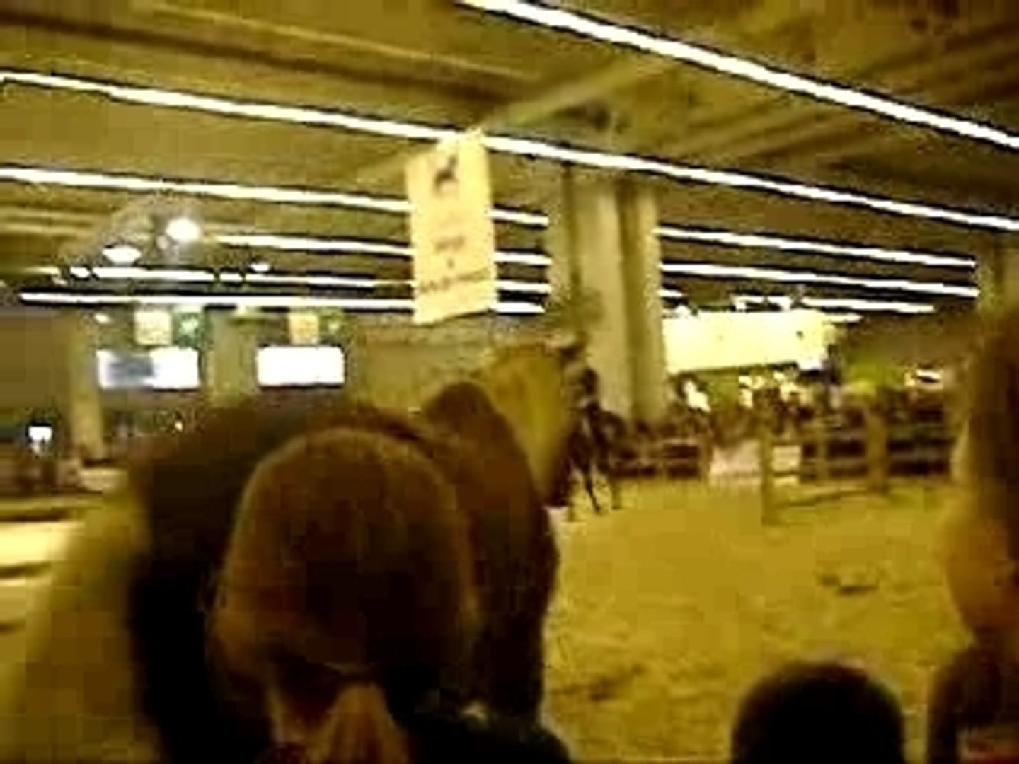 DSCF1947