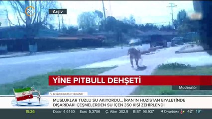 Yine Pitbull dehşeti