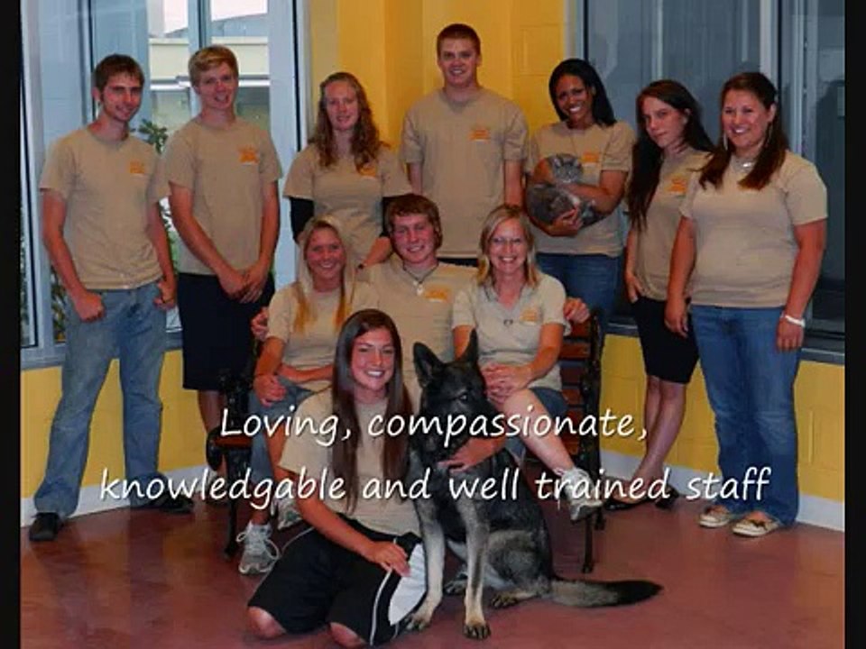 Karnik Pet Lodge video Dailymotion