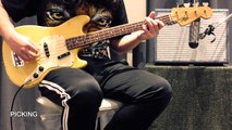 Fender Musicmaster Bass 1972 | alien rabbit Used Collection