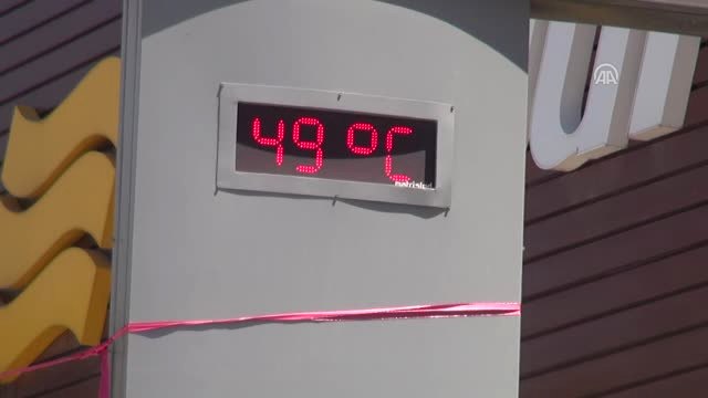 Sıcaktan Bunalan Mandalar Derede Serinliyor