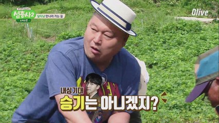 강호동 설레발, '설마 달타냥 승기 아니겠지..?'