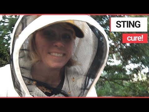 Landscape Designer Injected Herself with BEE VENOM to Keep Allergy at Bay | SWNS TV
