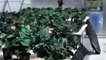 Poinsettias For Christmas - Lifetime Trailer