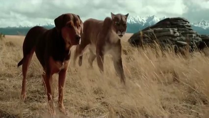 Uno más de la familia (2019) Primer Tráiler Oficial Español