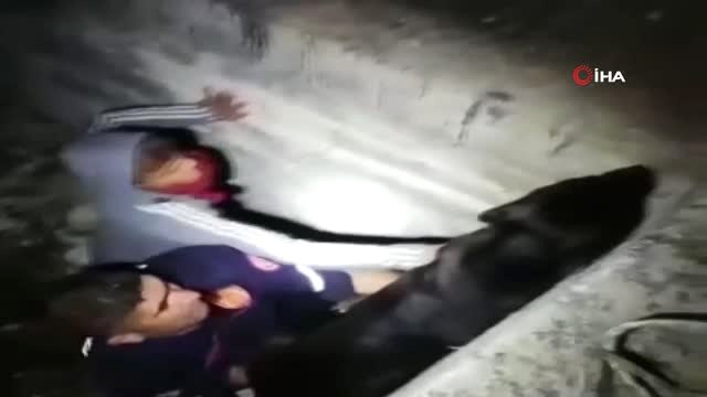 Çukura Düşen Köpek, Kendisini Kurtaran İtfaiyecilerin Yanından Ayrılmak İstemedi