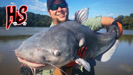 Hook Shots: Downtown D.C. Blue Cats