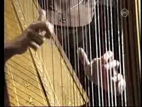 Saint-Saens - The Swan -