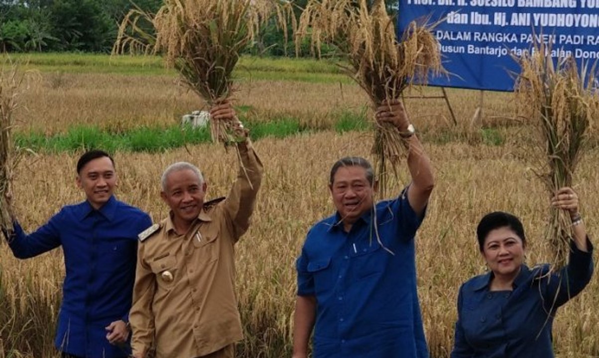 Membahas Politik Abu-Abu Partai Demokrat [1]