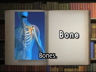 English Lessons for Beginners B/2 كورس اللغه الانجليزيه للمبتدئين حرف