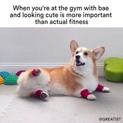 When you're at the gym with bae and looking cute is more important than actual fitness