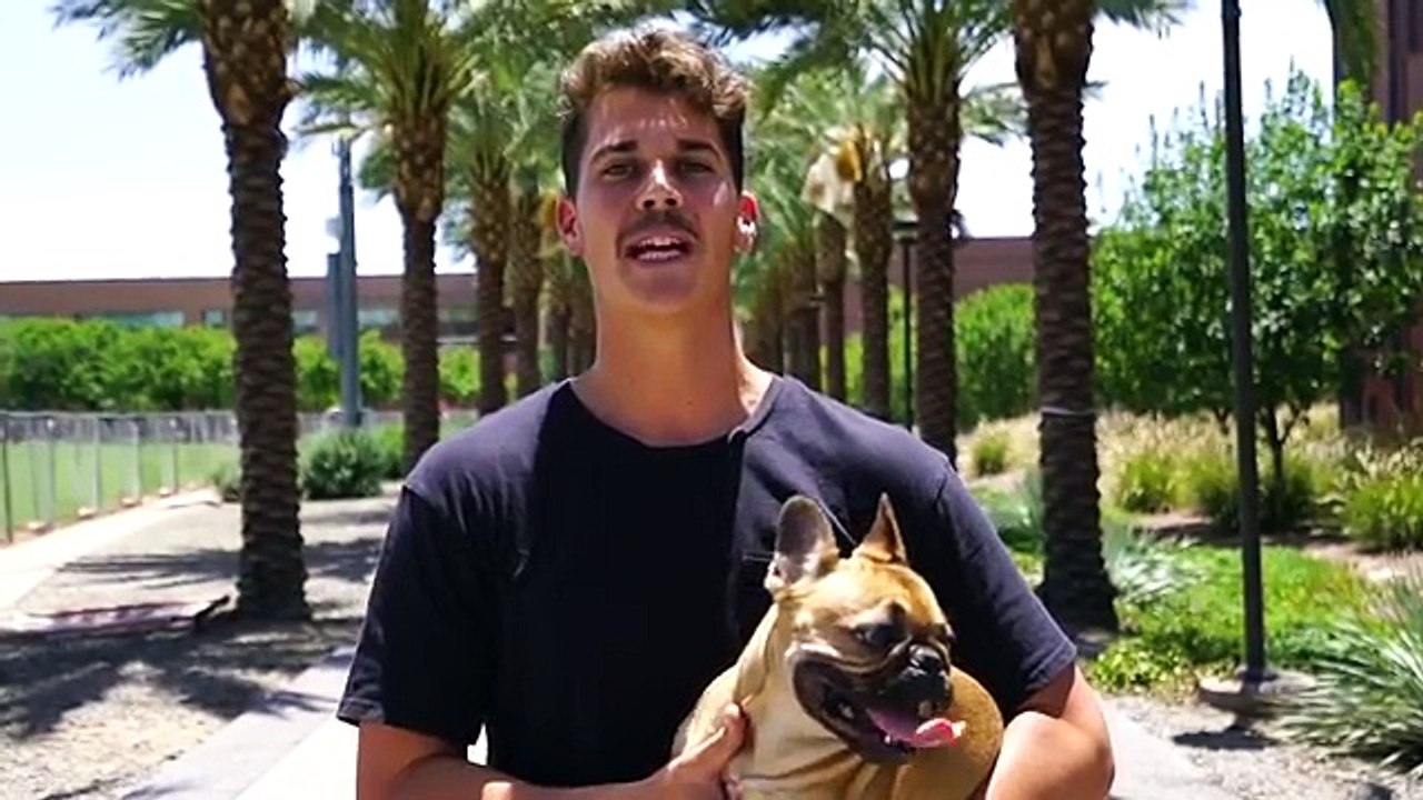 Picking Up Girls With a French Bulldog Very Nice Funny Vedio 2018