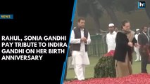 Rahul, Sonia Gandhi pay tribute to Indira Gandhi on her birth anniversary