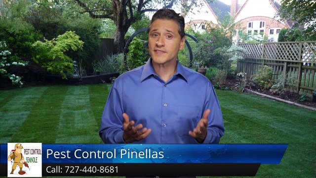 Seminole Termite & Pest Control Review of Pest Control Pinellas Seminole FLRemarkable 5 Star ...