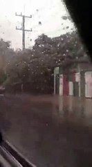 На все руки мастер