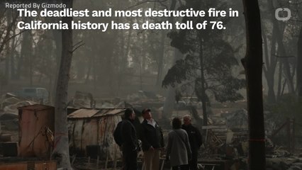 Did Officials Evacuate Residents Of Paradise Quickly Enough?