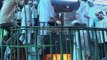 Watch Urs Mela of Khwaja Garib Nawaz Sharif Dargah, Ajmer
