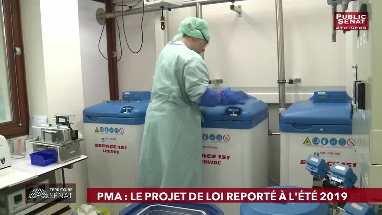 Tour d'horizon de l'actualité du Sénat et de l'actualité du jour. - Territoire Sénat (19/11/2018)