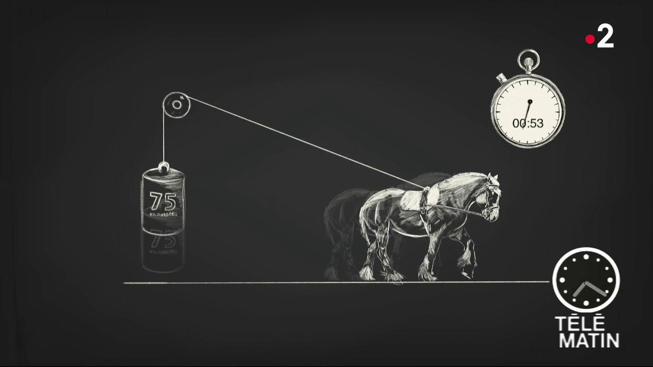 Sciences - Le kilo, un poids et deux mesures