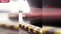 Gemi iskeleye çarptı, körfeze yakıt sızdı