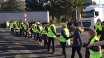 Gilets jaunes : le rond-point d'Avignon bloqué par des dizaines de manifestants