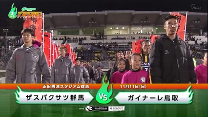 ガイナーレＴＲＩＢＥ