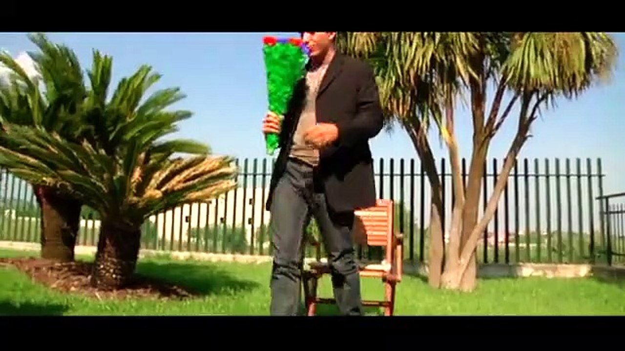 Fiori che sbocciano