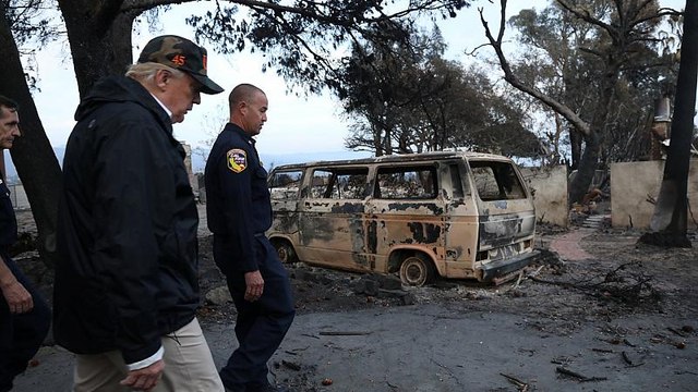 Дональд Трамп: Мы тоже будем убирать подлесок
