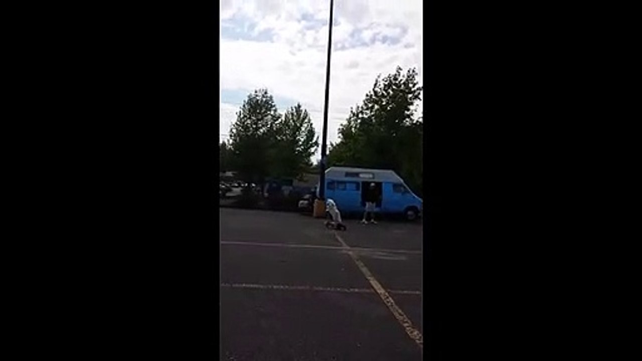 The dog has mastered riding a scooter