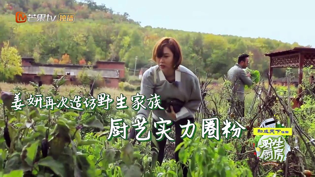 《野生厨房》第5期看点：姜妍回归拯救野生兄弟 汪涵柳岩合力给姜妍相亲 Wild Kitchen【湖南卫视官方频道】