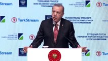 Erdoğan: 'Rusya Federasyonu ile iş birliğimiz çok geniş bir yelpazede ilerliyor' - İSTANBUL