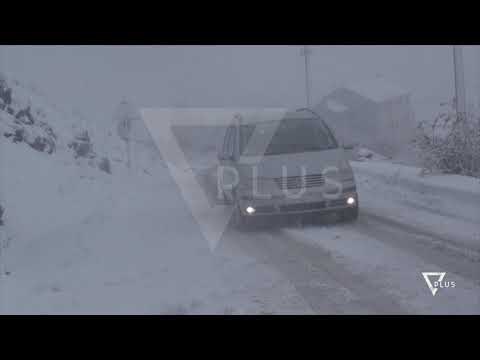 Dëbora thyen pemët në Parkun e Korçës - News, Lajme - Vizion Plus