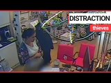 Women burgle lighting shop in front of owner | SWNS TV